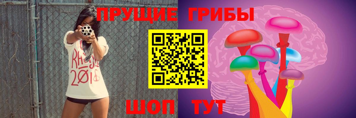Псилоцибиновые грибы GOLDEN TEACHER  цены наркотик  Коркино  Псилоцибиновые грибы MAGIC MUSHROOMS  Вход с VPN 